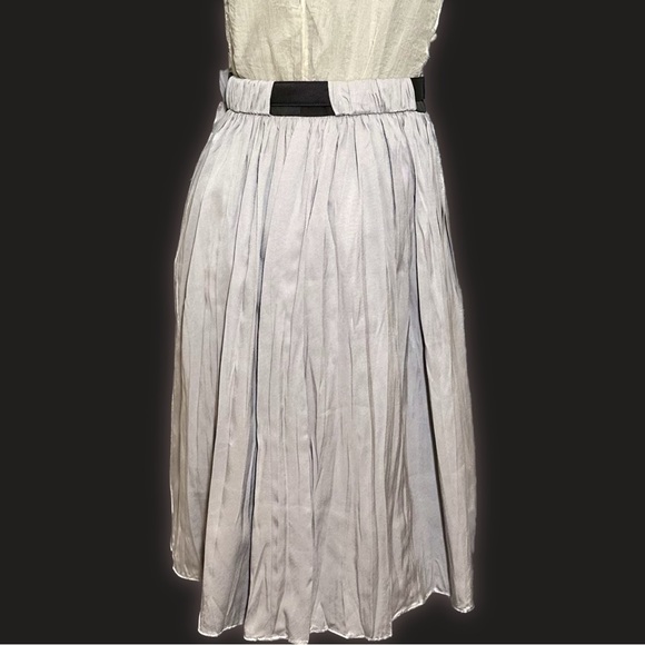 NWT Helios & Luna Silk Pleated Skirt - Picture 6 of 8